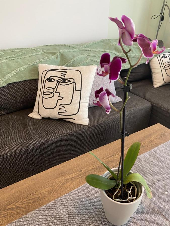 Katica Apartman Gyor Luaran gambar
